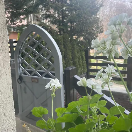The Nest Apartment Sinaia Exterior photo