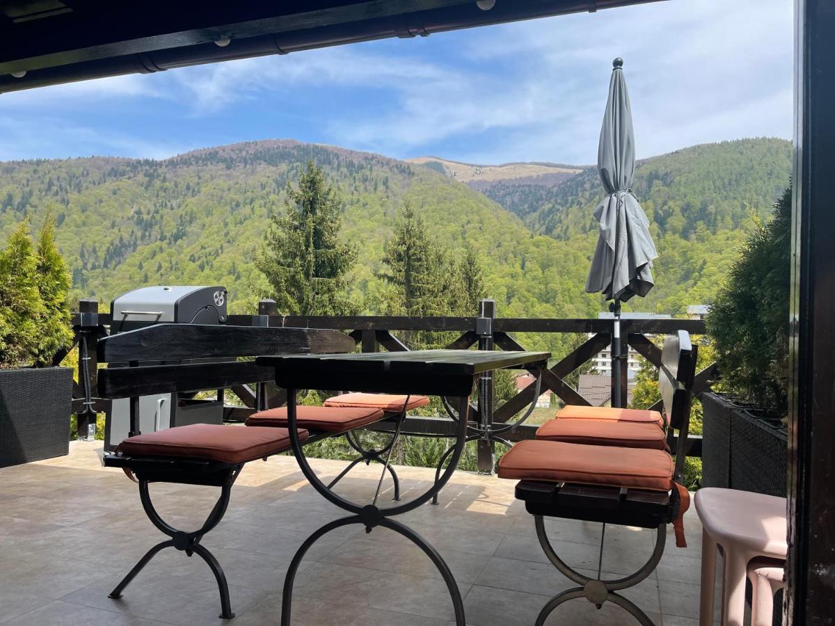 The Nest * Sinaia