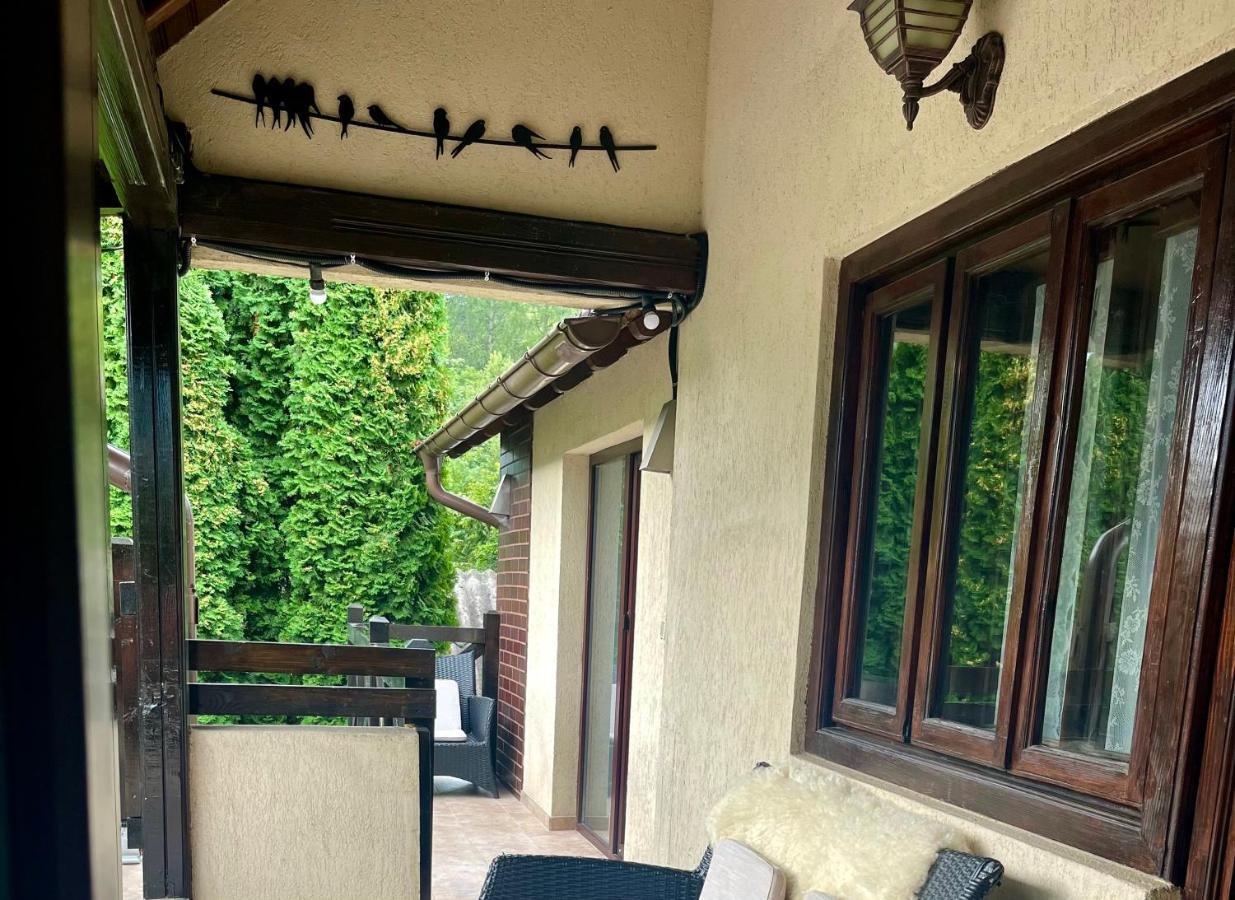 The Nest * Sinaia
