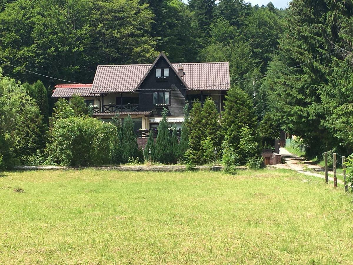 The Nest 公寓 Sinaia