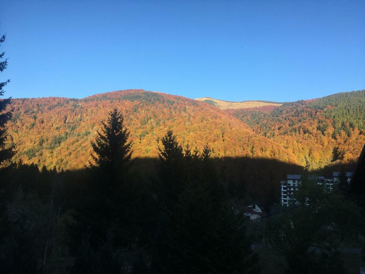 The Nest Apartment Sinaia